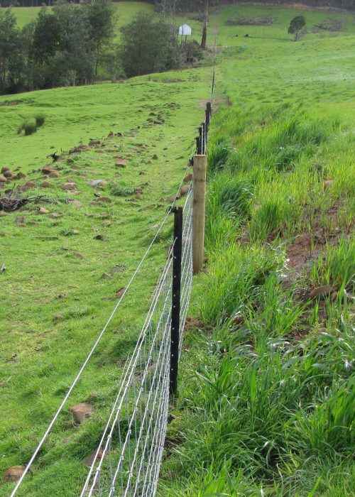 Planned grazing and wallaby proof fencing case study