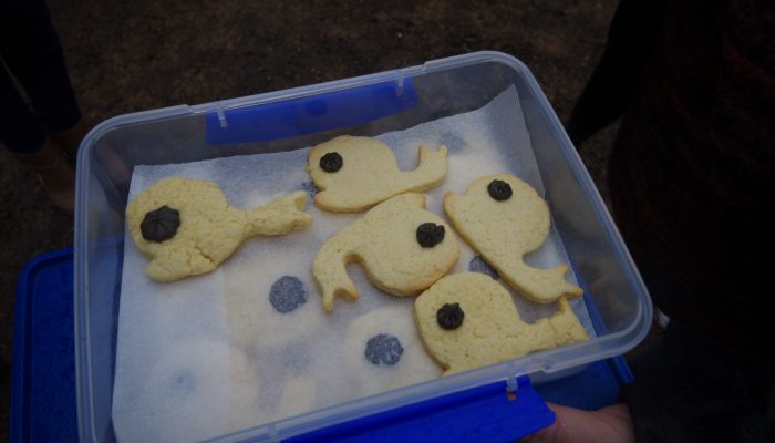 Whale Biscuits