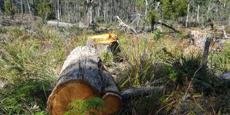 20171212_103509 20171212_103509