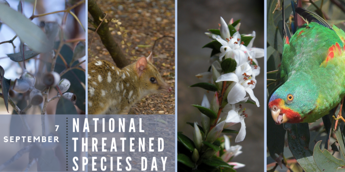 Image: National Threatened Species Day