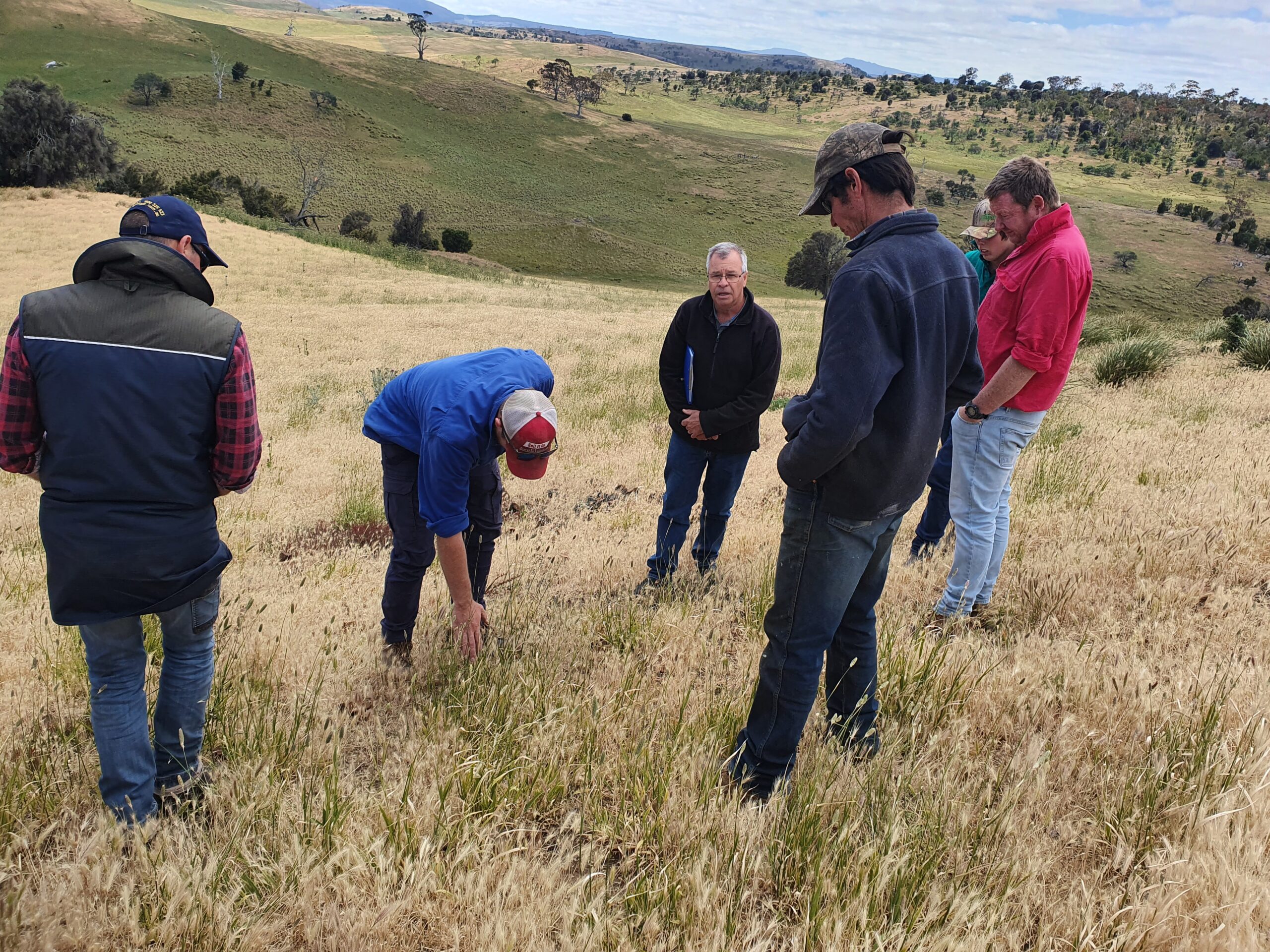 Group of five people standing in a field