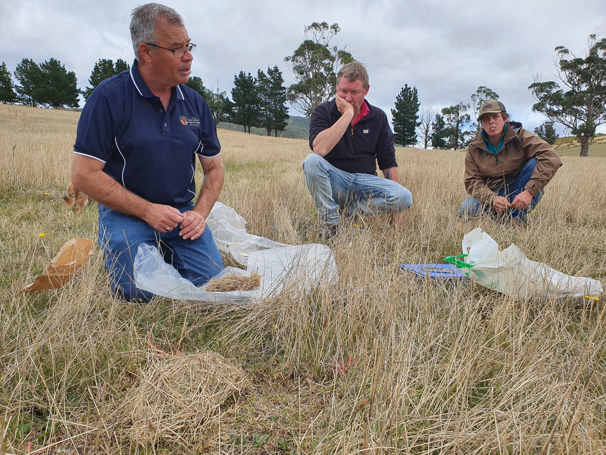 Three people sitting in the grass and talking