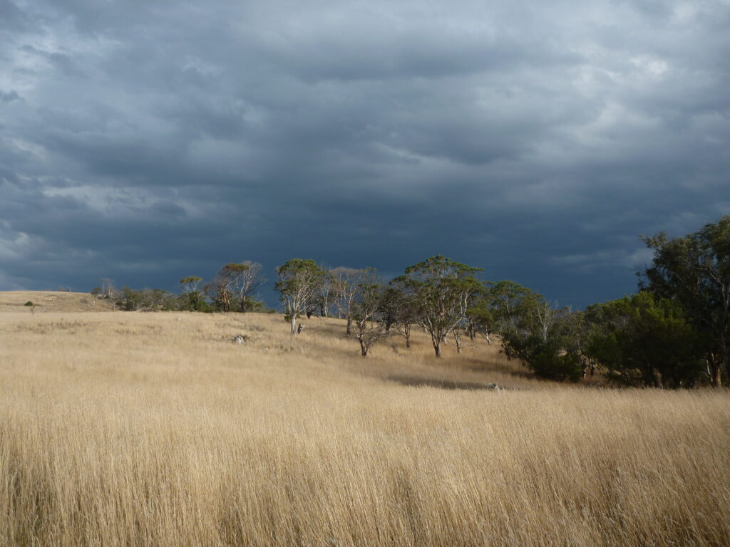 Home - NRM South